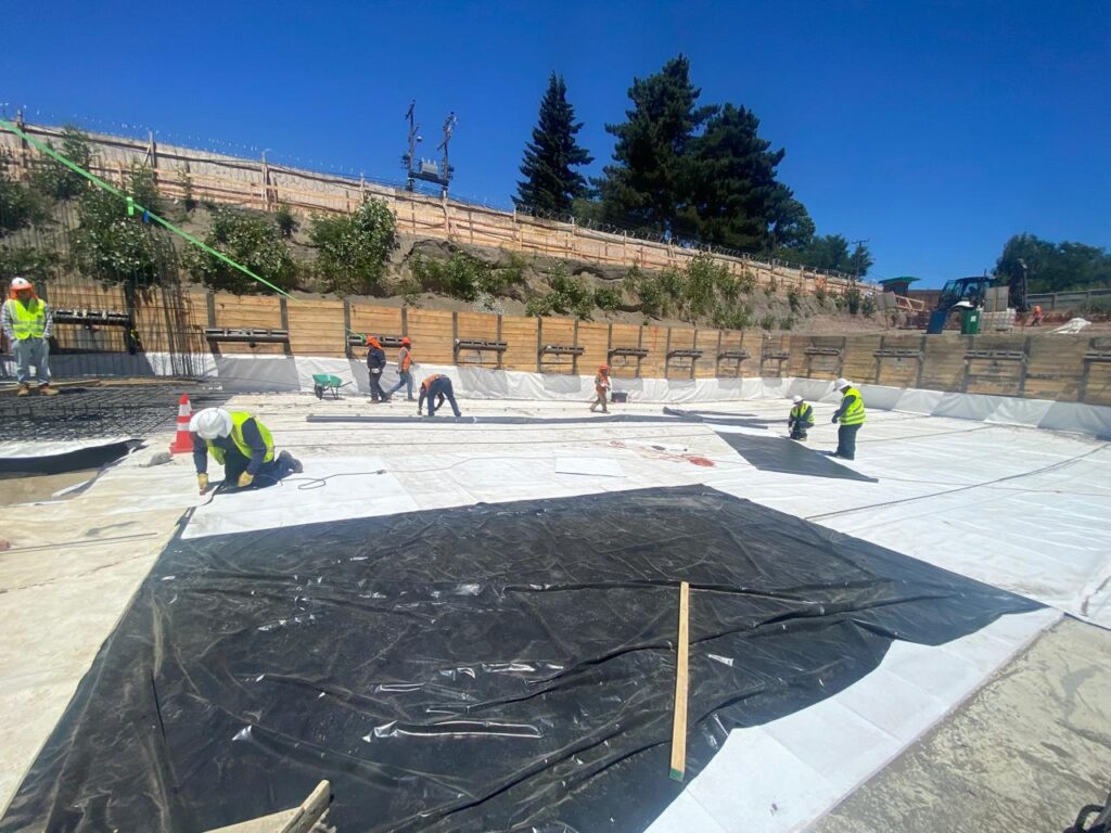 whatsapp image 2025 08 18 at 17.26.33 (2)